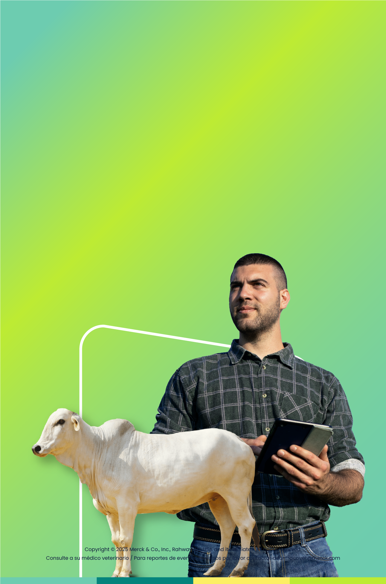 que-es-bovi+